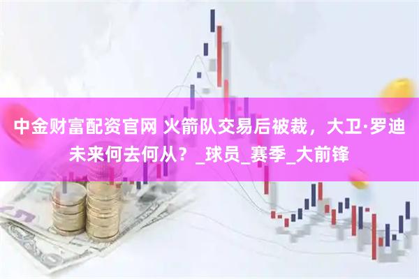 中金財富配資官網 火箭隊交易后被裁，大衛·羅迪未來何去何從？_球員_賽季_大前鋒